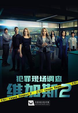 犯罪現(xiàn)場(chǎng)調(diào)查：維加斯第二季 第14集