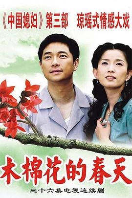 木棉花的春天 第33集