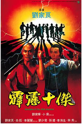 霹靂十杰(大結(jié)局)