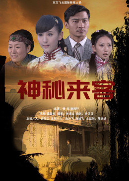 神秘來客2014(大結(jié)局)