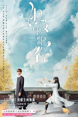 淑女飄飄拳 第16集