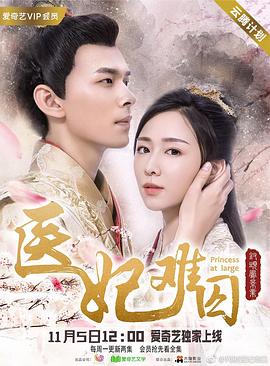 醫(yī)妃難囚第一季 第03集