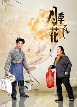 月季花開(大結(jié)局)