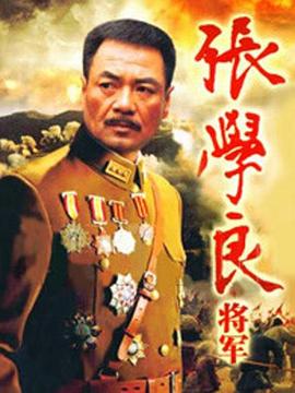 張學(xué)良將軍 第17集