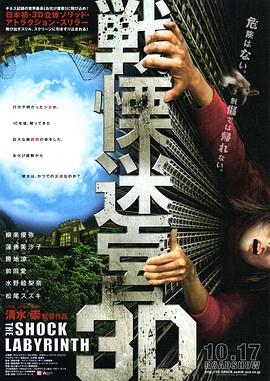 戰(zhàn)栗迷宮3D(大結(jié)局)