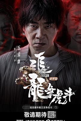 追龍番外篇之龍爭虎斗 HD國語
