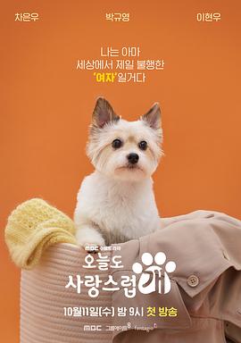 今天也很可愛的狗 第12集