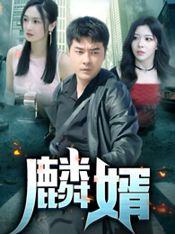 麟婿 第03集