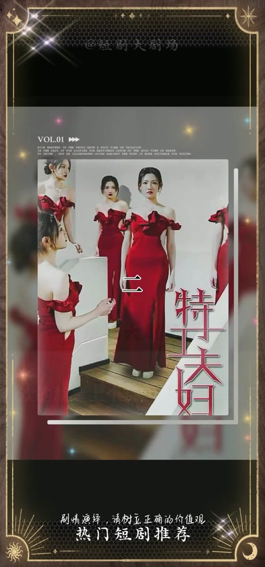 特工夫婦 第29集