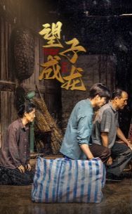 新望子成龍 第41-61集完結(jié)(大結(jié)局)