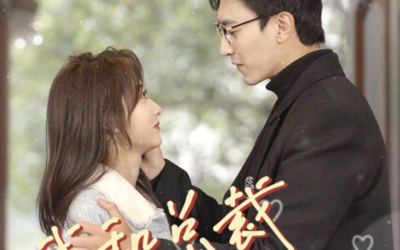 我和總裁互相裝窮 第1-20集
