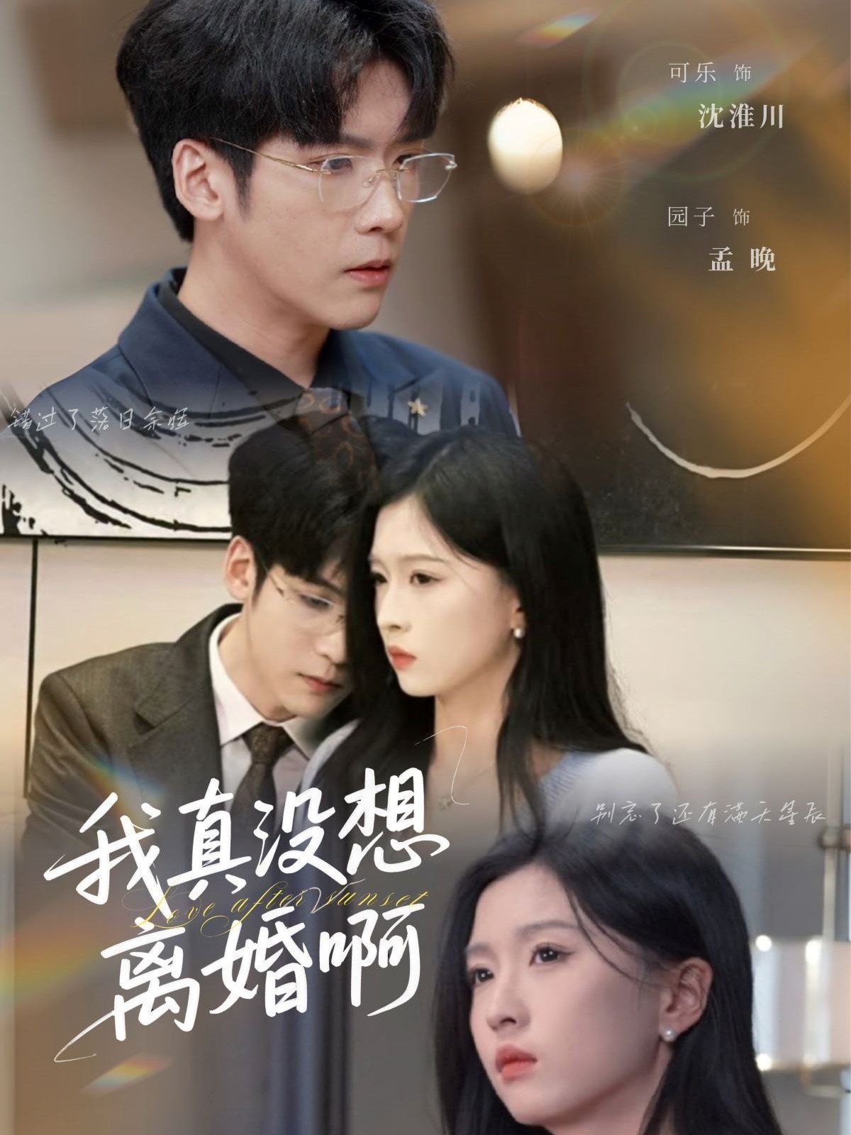 我真沒(méi)想離婚啊(全集)