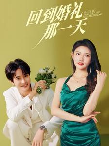 回到婚禮那一天 第41-60集