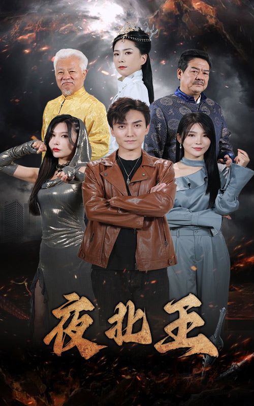 夜北王 第41-76集完結(jié)(大結(jié)局)