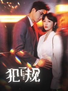 犯了規(guī) 第1-20集