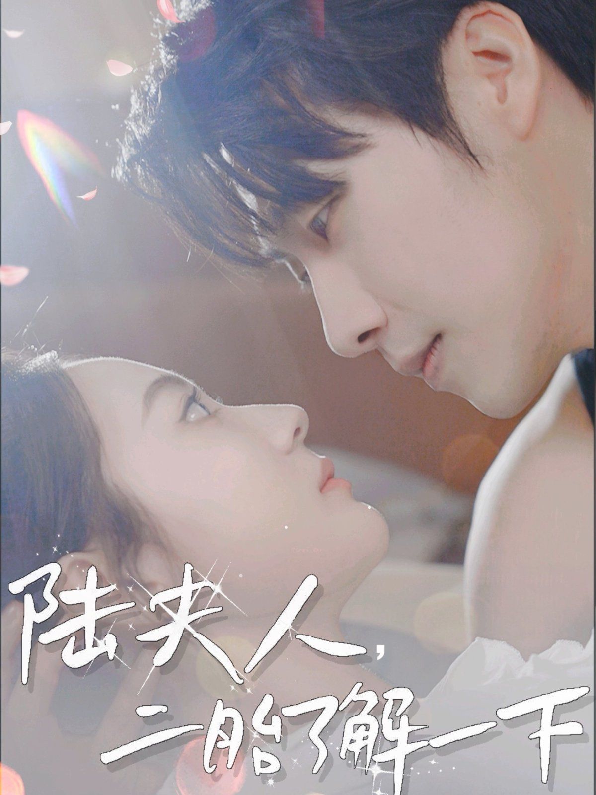 陸夫人，二胎了解一下(全集)