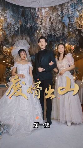 廢婿出山 第1-20集