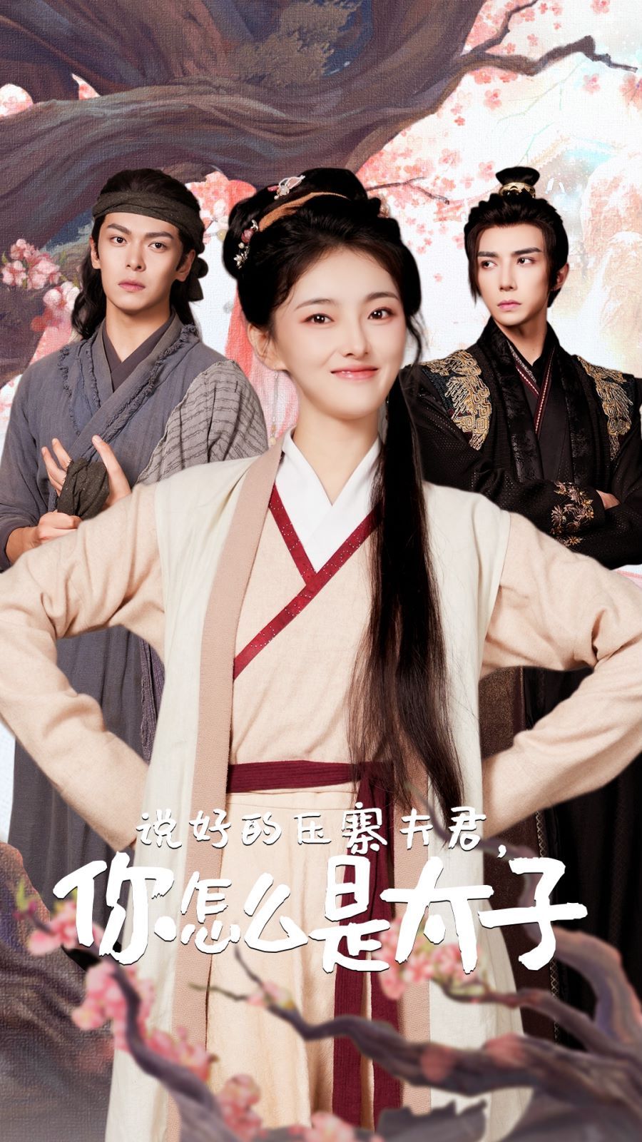 說(shuō)好的壓寨夫君，你怎么是太子 第41-65集完結(jié)(大結(jié)局)