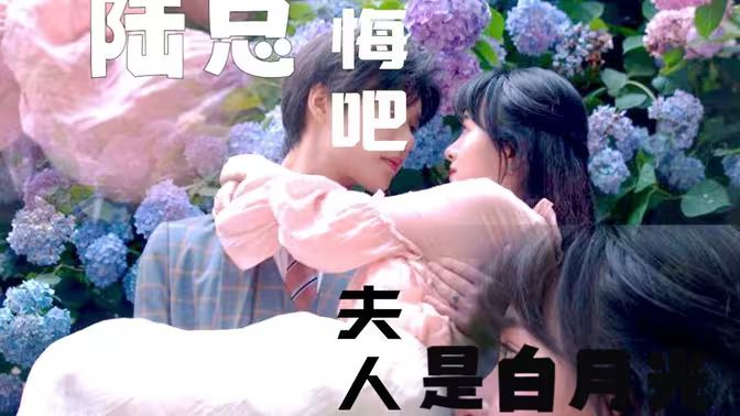 陸總懺悔吧，夫人才是白月光 全集完結(jié)(大結(jié)局)
