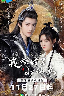 夜族公子小仙妻 第18集