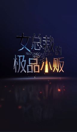 女總裁的極品小販 第21-40集