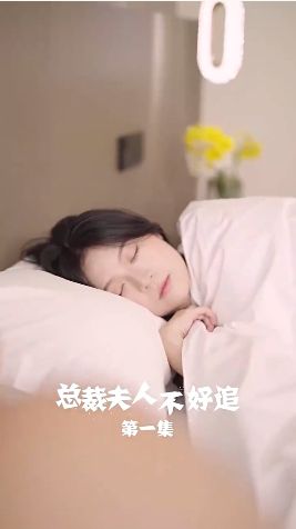 總裁夫人不好追(全集)