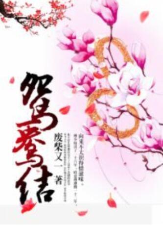 鴛鴦結 第8集