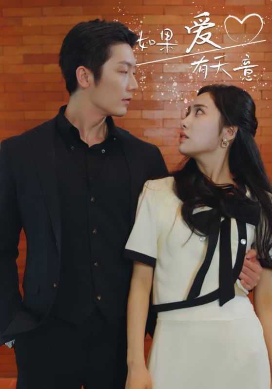 新如果愛有天意 第1-20集