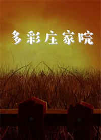 多彩莊家院 第25集