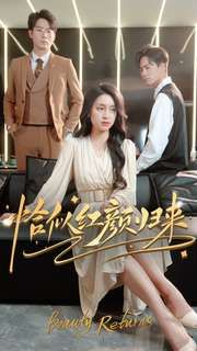 恰似紅顏歸來 第61-79集完結(jié)(大結(jié)局)