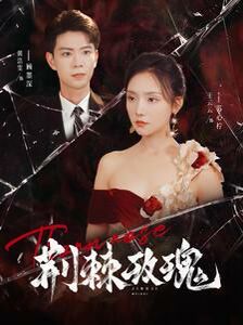 荊棘玫瑰 第41-60集
