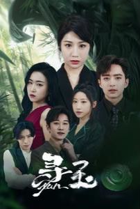 尋玉 第41-60集