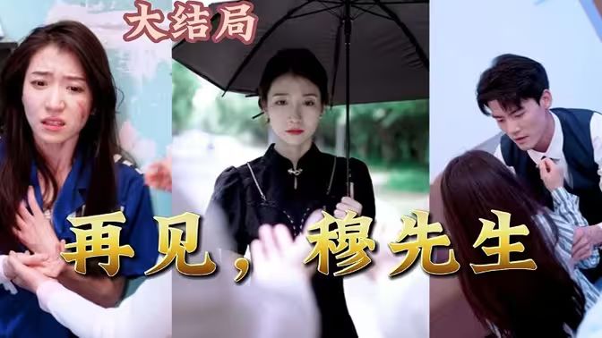 再見(jiàn)，穆先生 第1-20集