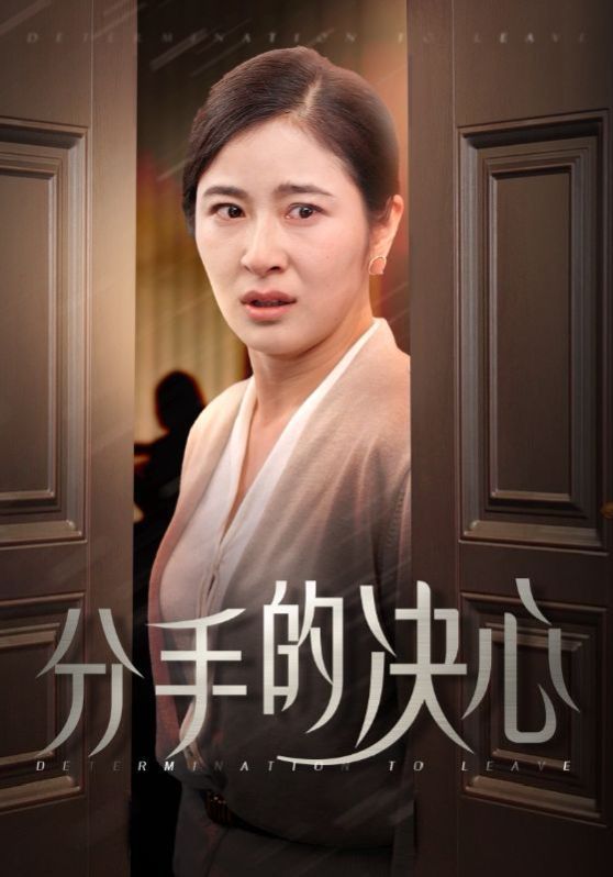 分手的決心 第1-20集
