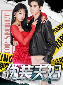 偽裝夫婦 第1-20集