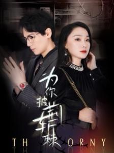 為你披荊斬棘 第1-20集