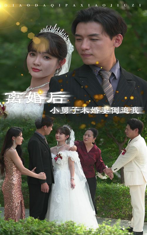 離婚后，小舅子未婚妻倒追我 第21-30集完結(jié)(大結(jié)局)