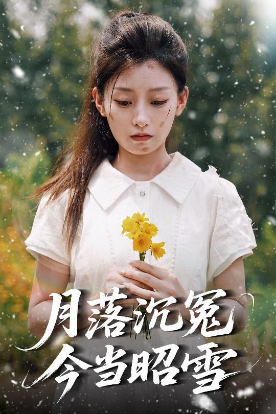 月落沉冤今當昭雪(全集)