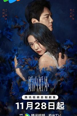 婚內(nèi)婚外 第08集