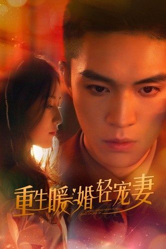 重生暖婚輕寵妻 第21-40集