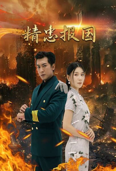 精忠報國 第41-61集完結(jié)(大結(jié)局)