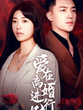 愛在離婚進(jìn)行時(shí) 第1-20集