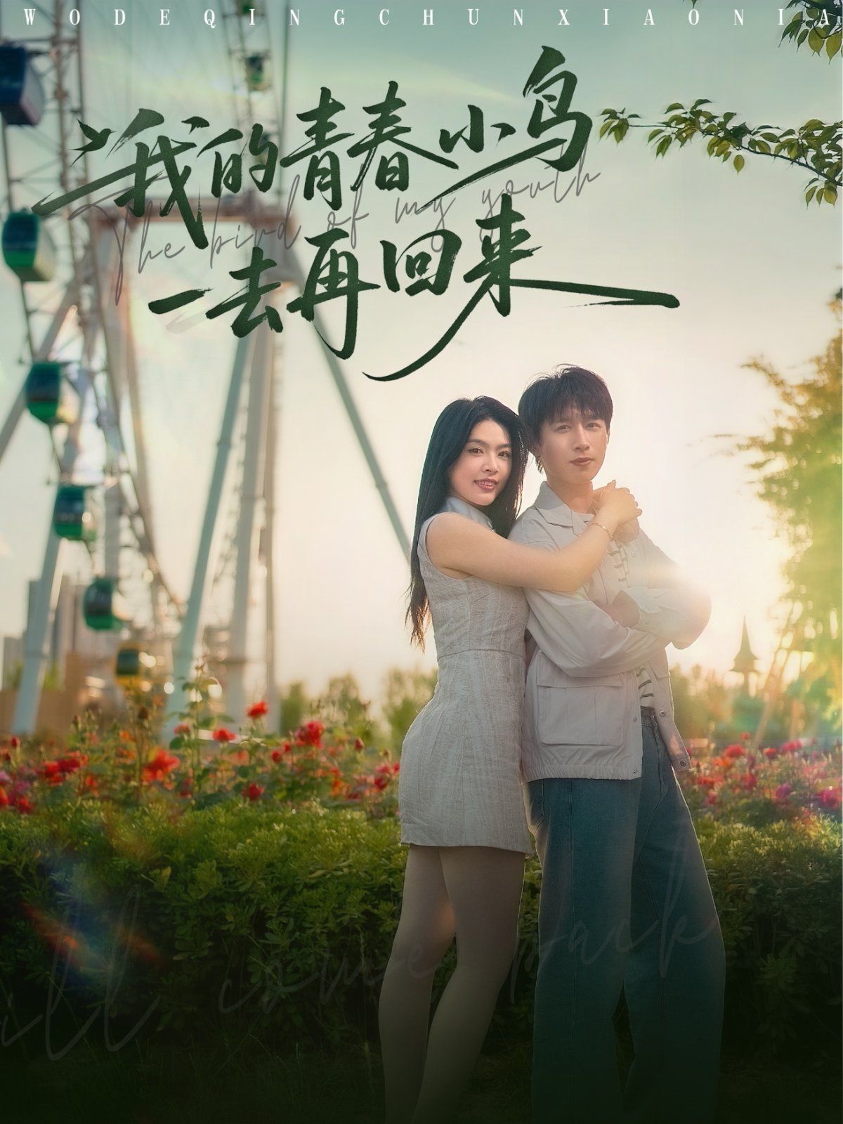 我的青春小鳥一去再回來(lái)(全集)