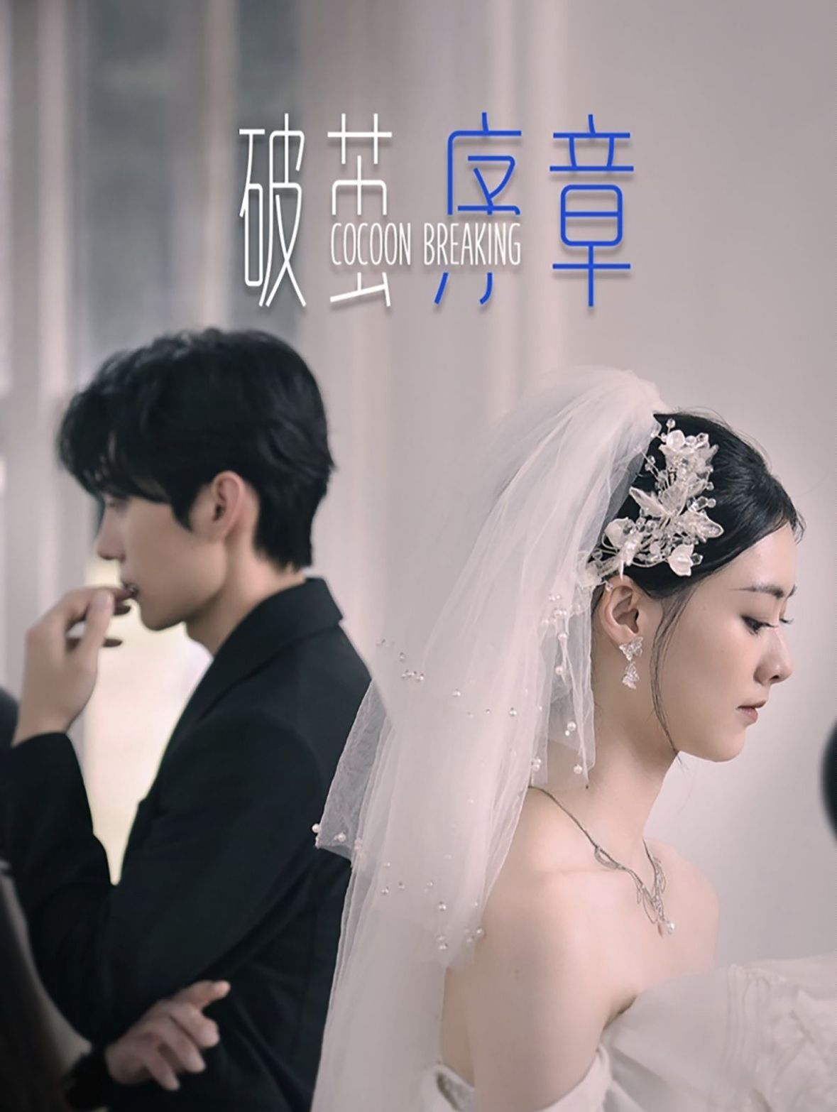 破繭序章 第41-64集完結(jié)(大結(jié)局)