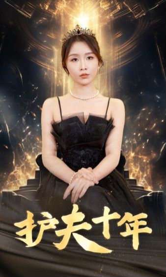護夫十年 第1-20集
