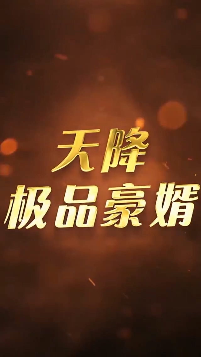 天降極品豪婿 第141集