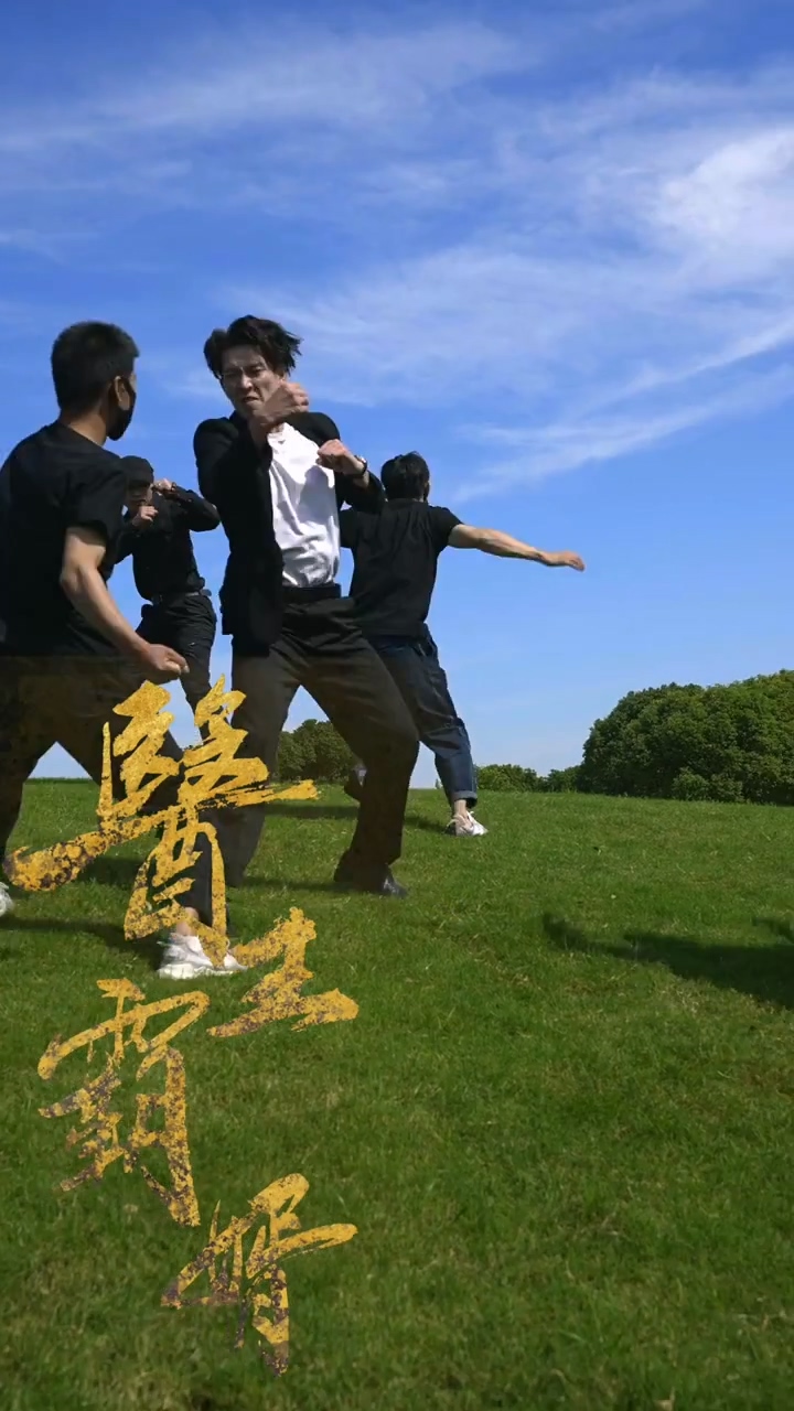醫(yī)王霸婿 第81集