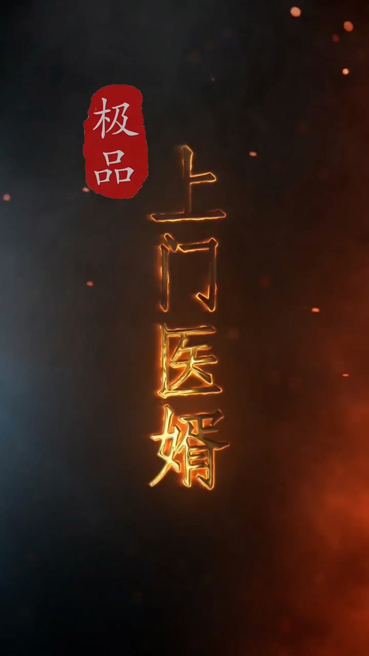極品上門(mén)醫(yī)婿 第01集