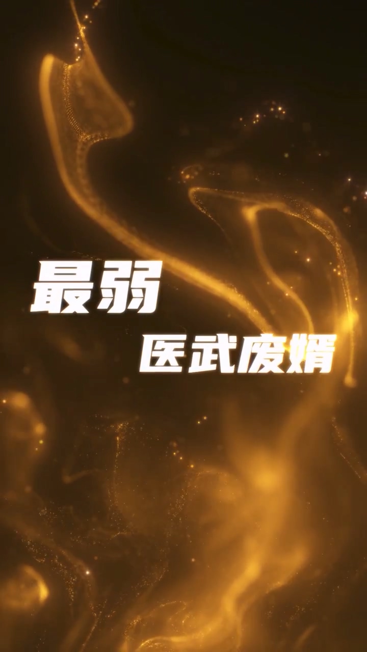 最弱醫(yī)武廢婿 第22集