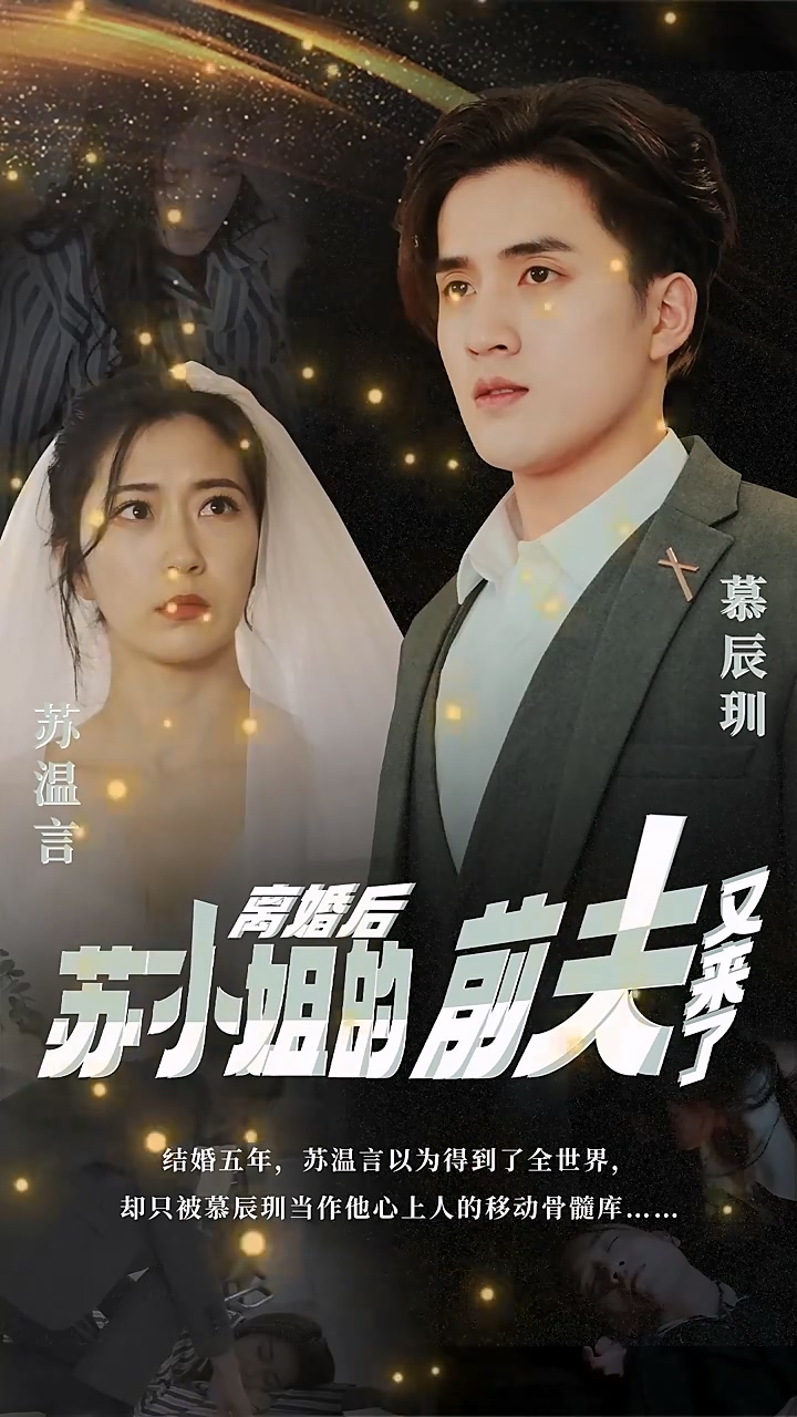 離婚后，蘇小姐的前夫又來(lái)了 第13集